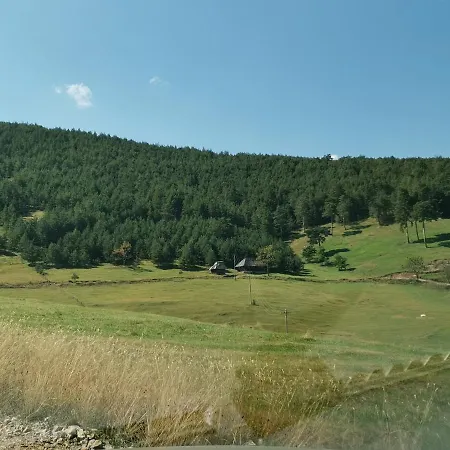 Marija - 2 * Zlatibor