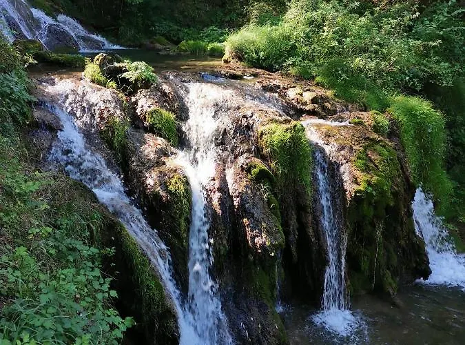 Appartement Marija - 2