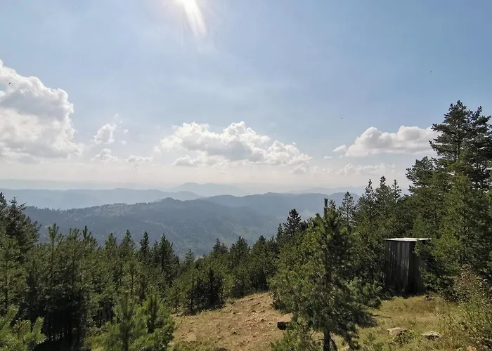 Marija - 2 * Zlatibor