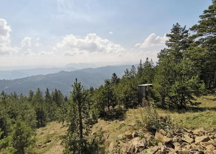 公寓 Marija - 2 兹拉蒂博尔